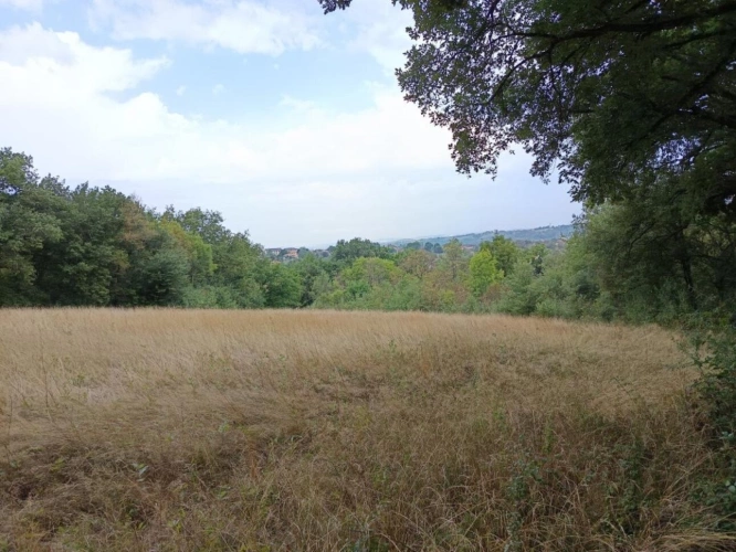 Photos 12 - Foncière - Terrain agricole