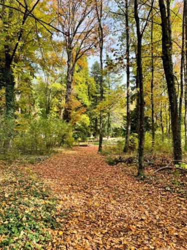 Photos 18 - Touristique - Vente Camping, Chambres d'hôtes/Gîte, Restaurant - Sud des H