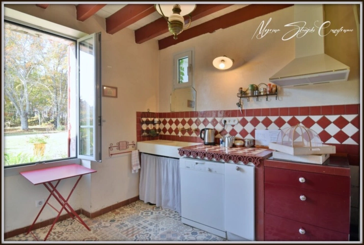 Photos 12 - Equestrian - CLOSE TO BISCARROSSE Property for sale T10 of approximately 360 m² (40) ON 5 HECTARES