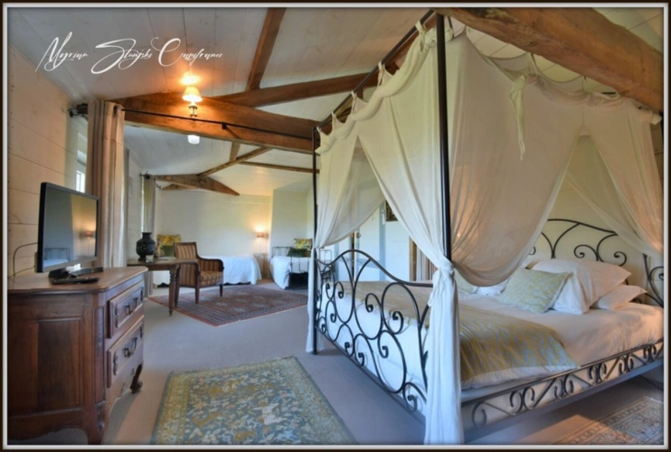 Photos 19 - Equestrian - CLOSE TO BISCARROSSE Property for sale T10 of approximately 360 m² (40) ON 5 HECTARES