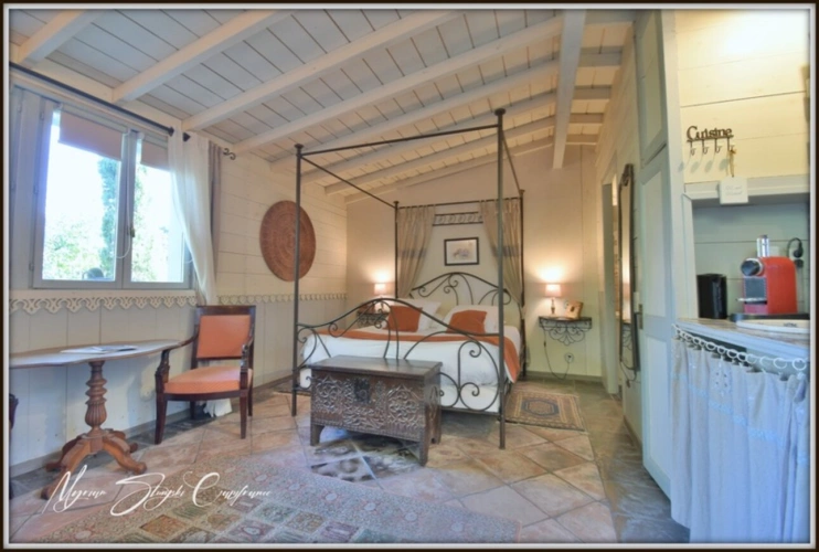 Photos 26 - Equestrian - CLOSE TO BISCARROSSE Property for sale T10 of approximately 360 m² (40) ON 5 HECTARES