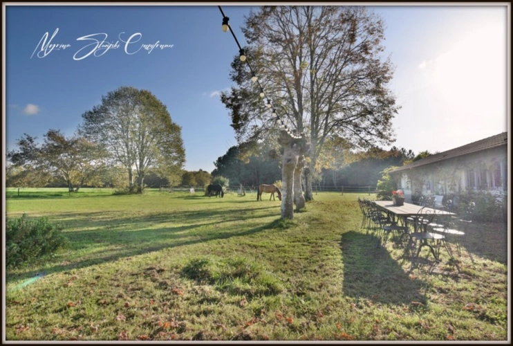 Photos 35 - Equestrian - CLOSE TO BISCARROSSE Property for sale T10 of approximately 360 m² (40) ON 5 HECTARES