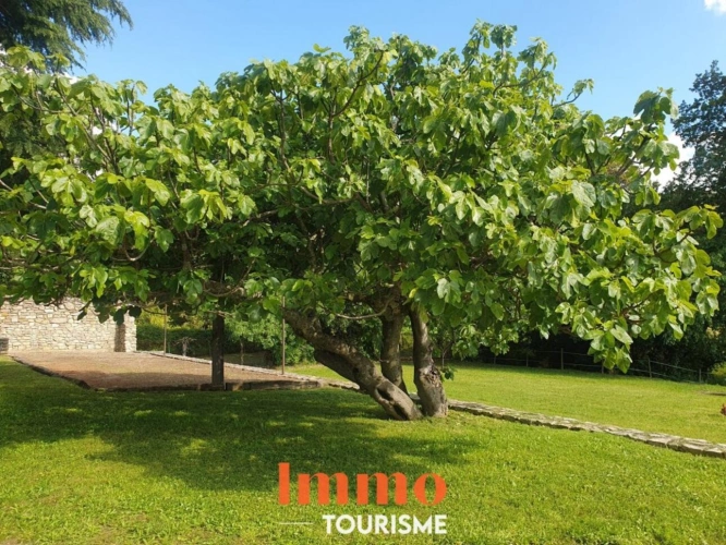 Photos 5 - Touristique - Gîtes dans un Ancien Mas Viticole