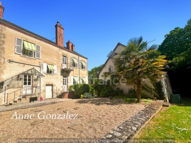 Photos 19 - Prestigious - VITRY AUX LOGES, à vendre superbe Propriété du XIXème de plus de 300 m2, maison d'amis indépendante