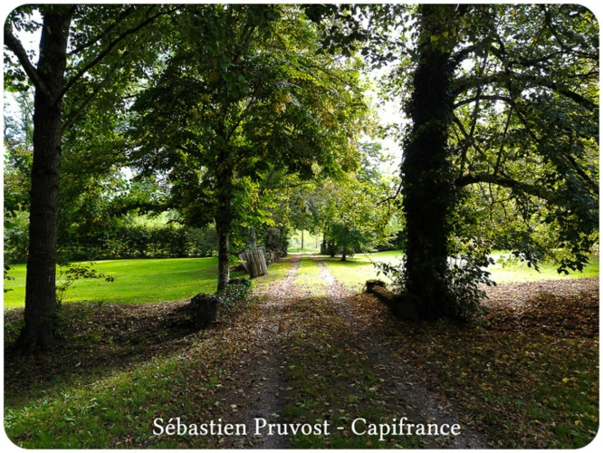 Photos 13 - Touristique - Propriete à vendre 6 pièces proche de BERGERAC (24), Logis, Gîte et dépendances, droit d'eau, étang, Terrain 12000m2