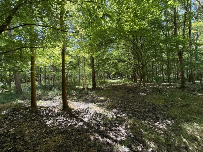 Photos 4 - Foncière - Terrain à vendre  RIVES DU LOIR EN ANJOU (49)