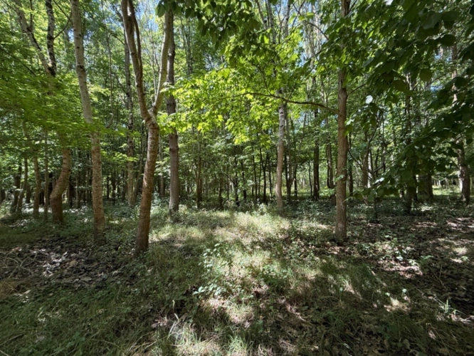 Photos 6 - Foncière - Terrain à vendre  RIVES DU LOIR EN ANJOU (49)