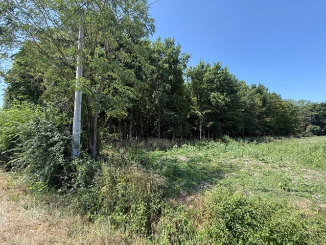 Photos 7 - Foncière - Terrain à vendre  RIVES DU LOIR EN ANJOU (49)