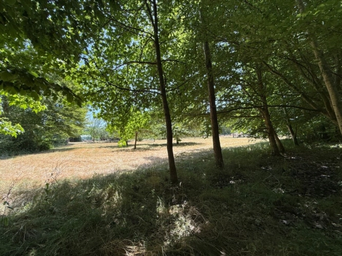 Photos 9 - Foncière - Terrain à vendre  RIVES DU LOIR EN ANJOU (49)