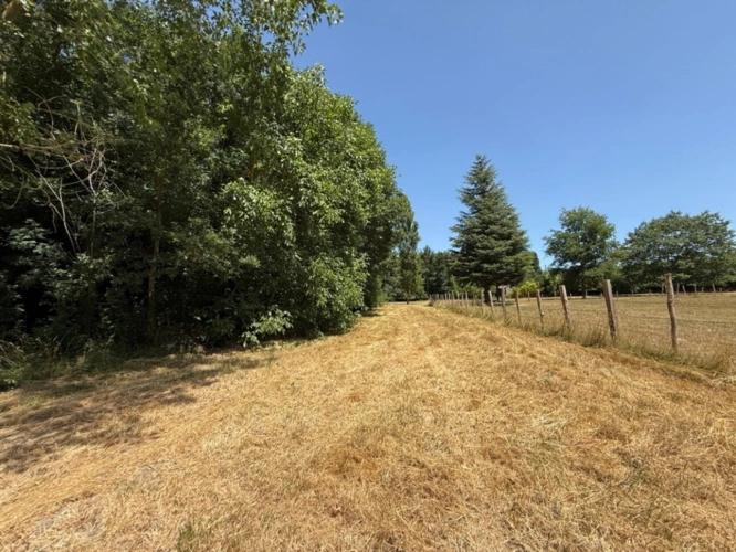 Photos 10 - Foncière - Terrain à vendre  RIVES DU LOIR EN ANJOU (49)