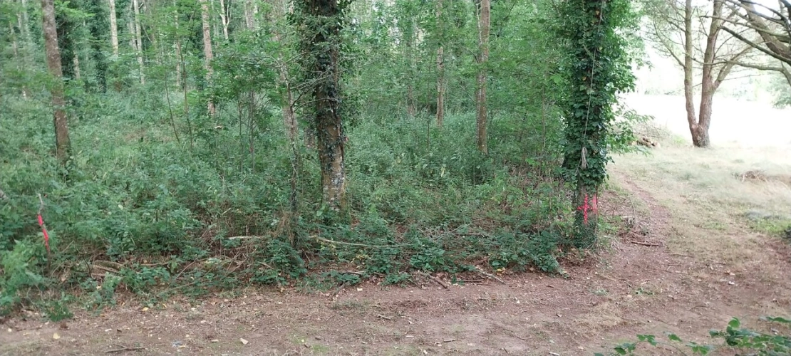 Photos 2 - Forestière - Autour de QUENECAN (56)