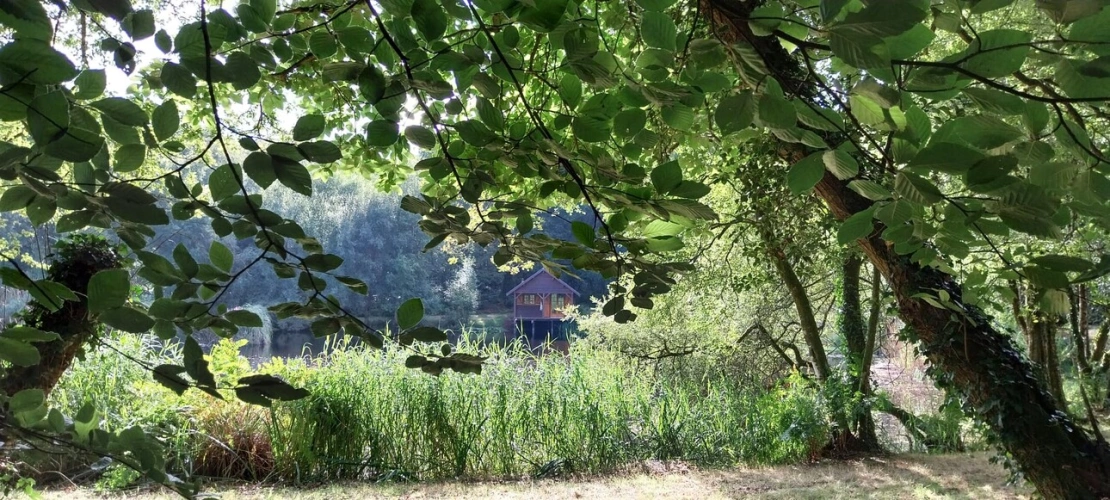 Photos 3 - Forestière - Autour de QUENECAN (56)