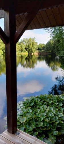 Photos 9 - Forestière - Autour de QUENECAN (56)