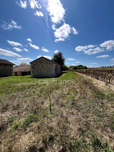 Photos 5 - Prestige - Ancien corps de ferme à restaurer à 7 km de SAINT CLAR (32)