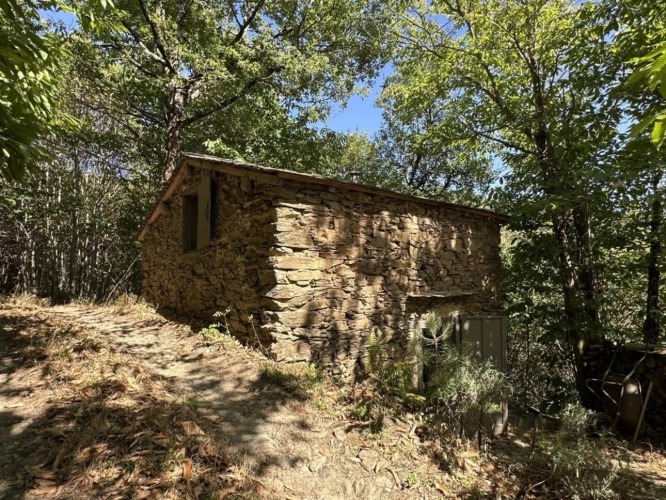 Photos 1 - Foncière - Terrain de loisir