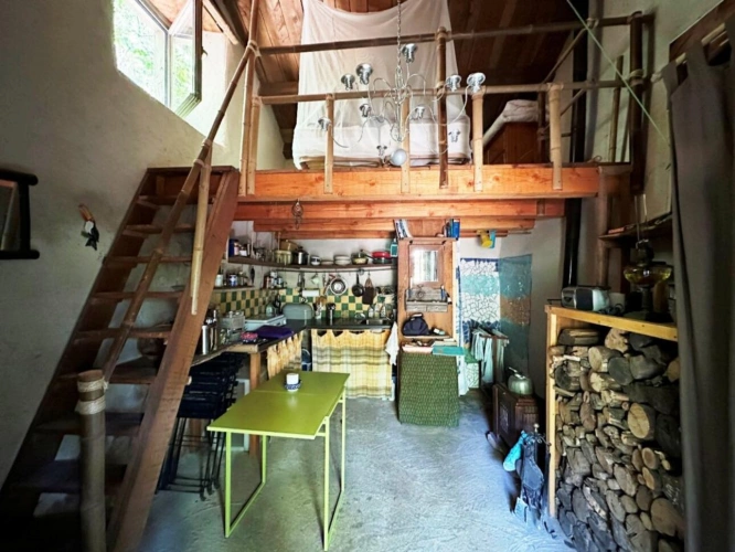 Photos 2 - Foncière - Terrain de loisir