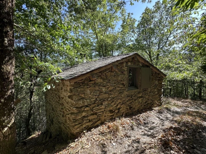 Photos 8 - Foncière - Terrain de loisir