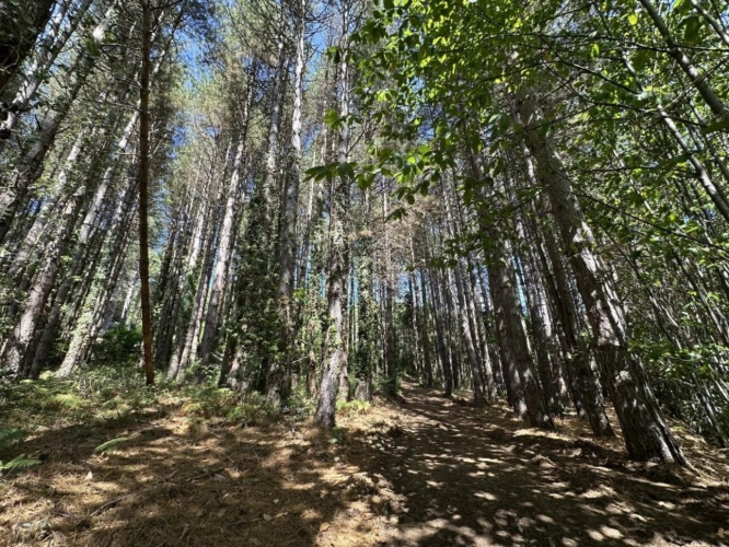 Photos 11 - Foncière - Terrain de loisir