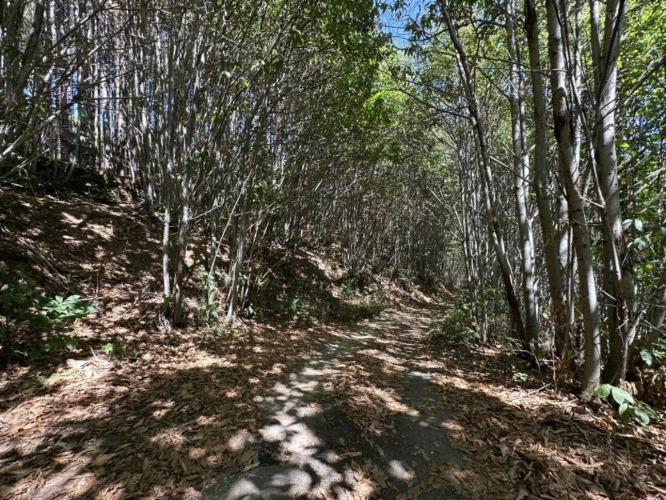 Photos 13 - Foncière - Terrain de loisir