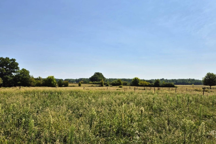 Photos 3 - Équestre - Aux portes de Louhans : Propriété équestre de 2,2 ha