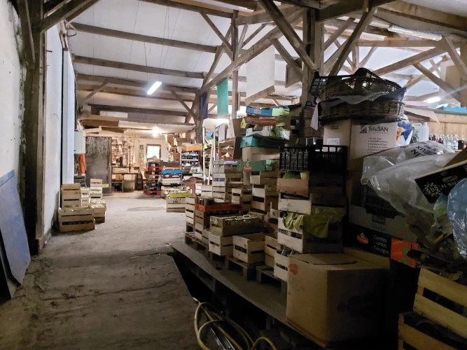 Photos 9 - Agricole - Vente exploitation fruitière autonome avec vente directe – Dordogne
