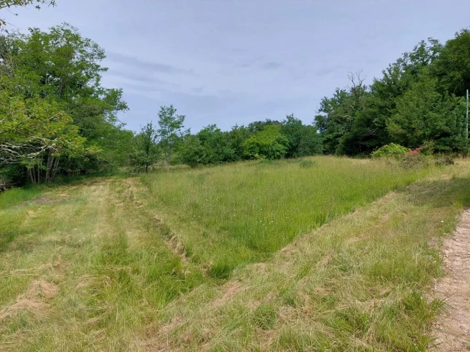 Photos 11 - Agricole - Vente exploitation fruitière autonome avec vente directe – Dordogne