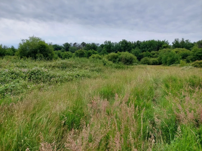 Photos 14 - Agricole - Vente exploitation fruitière autonome avec vente directe – Dordogne