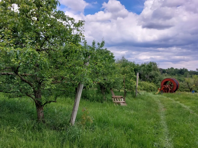 Photos 18 - Agricole - Vente exploitation fruitière autonome avec vente directe – Dordogne