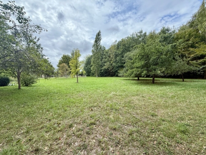 Photos 2 - Land - Land for sale BANKS OF THE LOIR IN ANJOU (49)