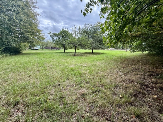 Photos 3 - Land - Land for sale BANKS OF THE LOIR IN ANJOU (49)