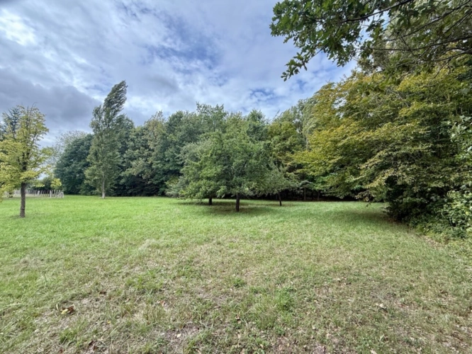 Photos 5 - Land - Land for sale BANKS OF THE LOIR IN ANJOU (49)