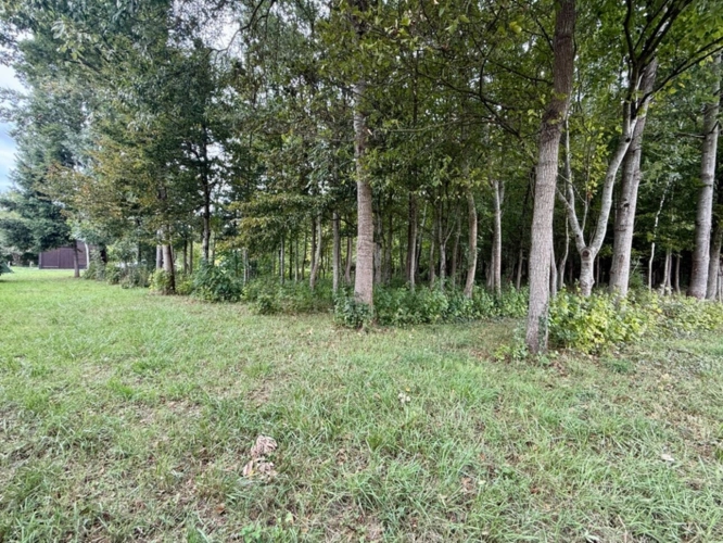 Photos 7 - Land - Land for sale BANKS OF THE LOIR IN ANJOU (49)