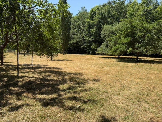 Photos 11 - Land - Land for sale BANKS OF THE LOIR IN ANJOU (49)