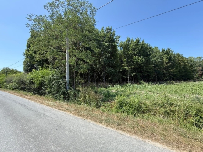 Photos 14 - Land - Land for sale BANKS OF THE LOIR IN ANJOU (49)