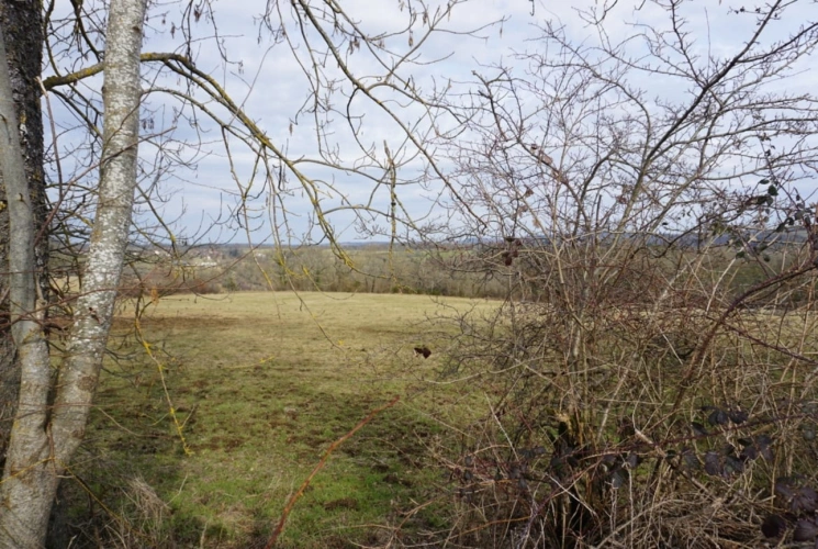 Photos 2 - Agricole - Propriété agricole de 35 hectares à fort potentiel dans le Puy-de-Dôme