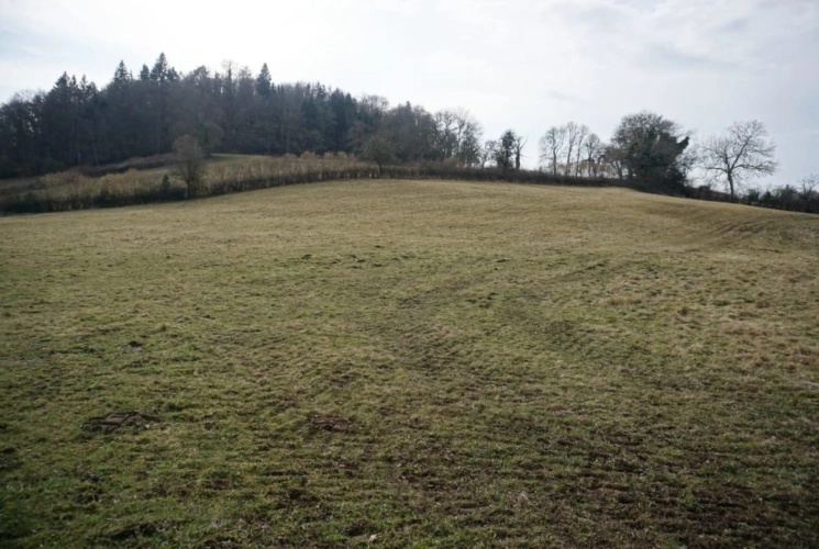 Photos 3 - Agricole - Propriété agricole de 35 hectares à fort potentiel dans le Puy-de-Dôme