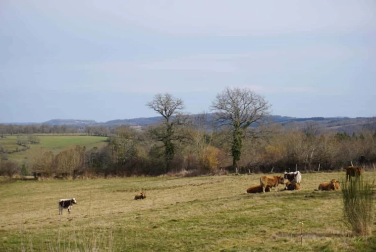 Photos 7 - Agricole - Propriété agricole de 35 hectares à fort potentiel dans le Puy-de-Dôme