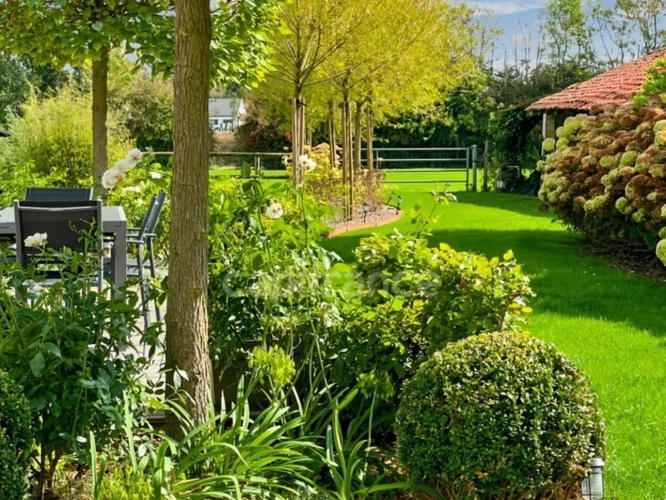 Photos 3 - Touristique - À VENDRE - HARDINGHEN - PROPRIÉTÉ - SURFACE TOTALE - 690 M 2 -  MAISON PRINCIPALE 273 M2 -  2 GITES - DÉPENDANCE - GARAGE - TERRAIN 1 ha 156  -