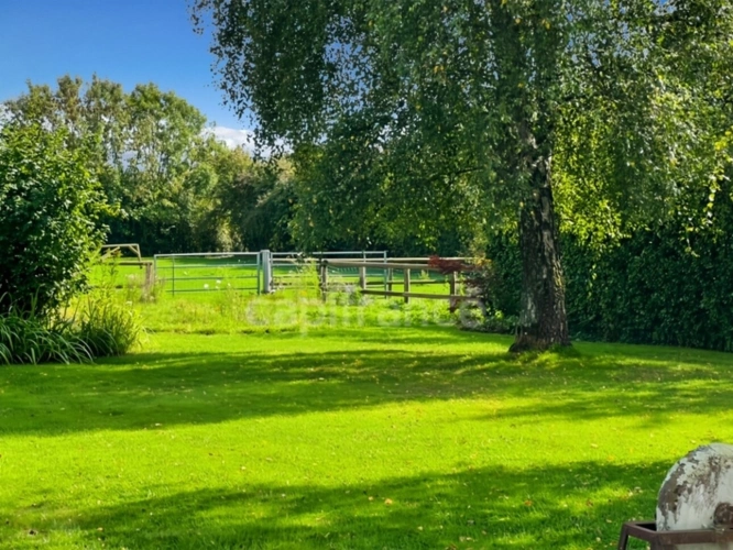 Photos 39 - Touristique - À VENDRE - HARDINGHEN - PROPRIÉTÉ - SURFACE TOTALE - 690 M 2 -  MAISON PRINCIPALE 273 M2 -  2 GITES - DÉPENDANCE - GARAGE - TERRAIN 1 ha 156  -