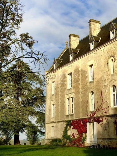 Photos 3 - Viticole - Domaine viticole avec élégant château historique dans le vignoble bordelais avec activité de chambres d'hôtes
