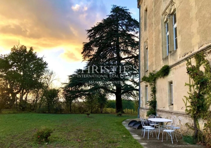 Photos 4 - Viticole - Domaine viticole avec élégant château historique dans le vignoble bordelais avec activité de chambres d'hôtes