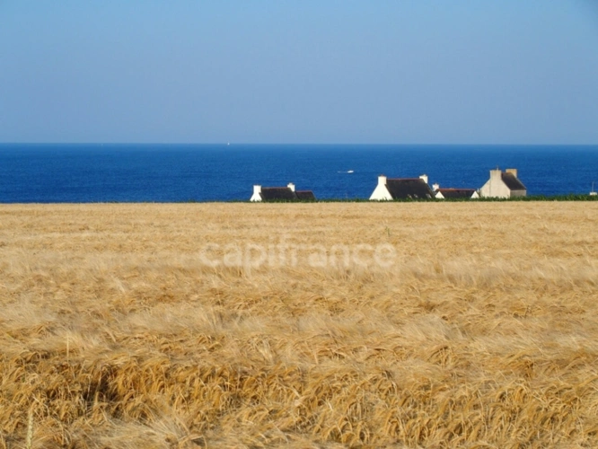 Photos 3 - Touristique - Propriete à vendre 10 pièces PLOZEVET (29) 3 Gites 220 m2