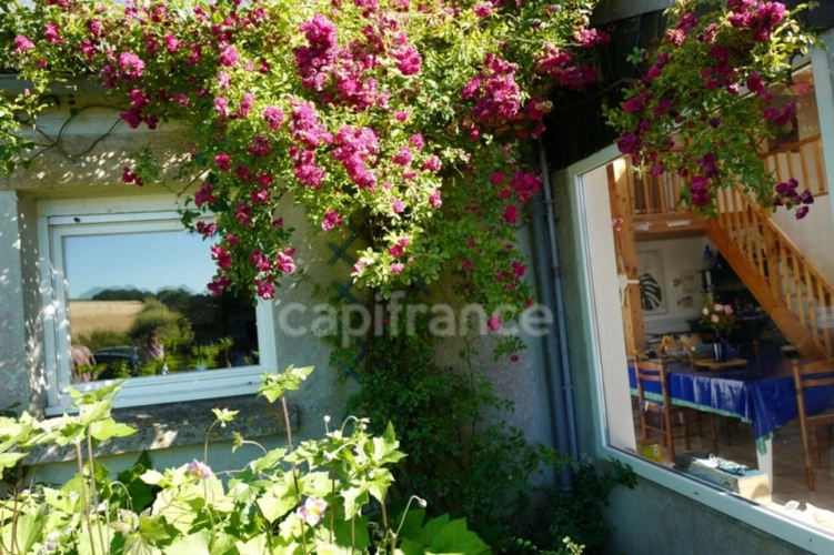 Photos 10 - Touristique - Propriete à vendre 10 pièces PLOZEVET (29) 3 Gites 220 m2
