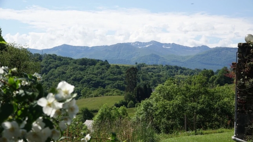 Photos 52 - Équestre - Pau - Pyrénées-Atlantiques - Propriété de 450m2 avec forêt de 20 ha