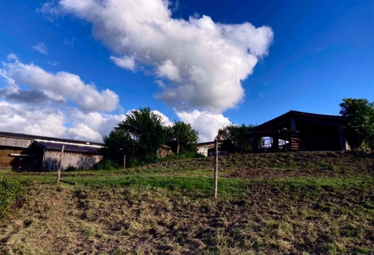 Photos 2 - Agricole - À découvrir – Propriété agricole de 17,4 ha à vendre Saint-Nauphary (82)