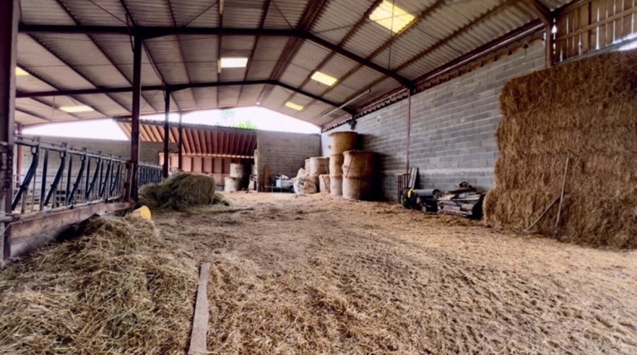 Photos 4 - Agricole - À découvrir – Propriété agricole de 17,4 ha à vendre Saint-Nauphary (82)