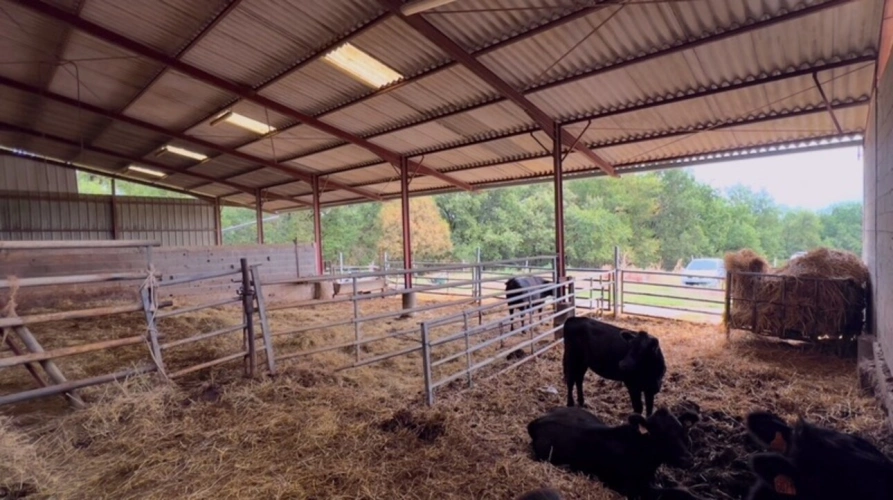 Photos 5 - Agricole - À découvrir – Propriété agricole de 17,4 ha à vendre Saint-Nauphary (82)