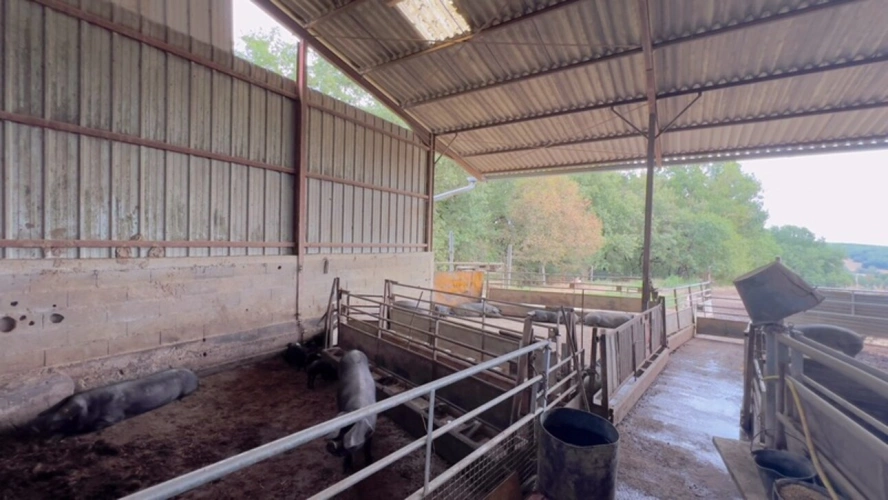 Photos 6 - Agricole - À découvrir – Propriété agricole de 17,4 ha à vendre Saint-Nauphary (82)