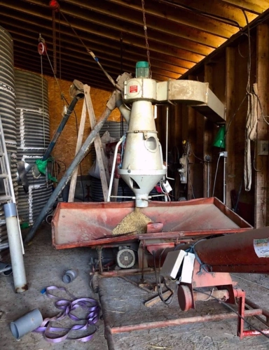 Photos 10 - Agricole - À découvrir – Propriété agricole de 17,4 ha à vendre Saint-Nauphary (82)