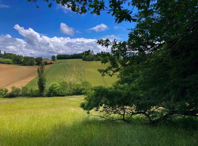 Photos 11 - Agricole - À découvrir – Propriété agricole de 17,4 ha à vendre Saint-Nauphary (82)